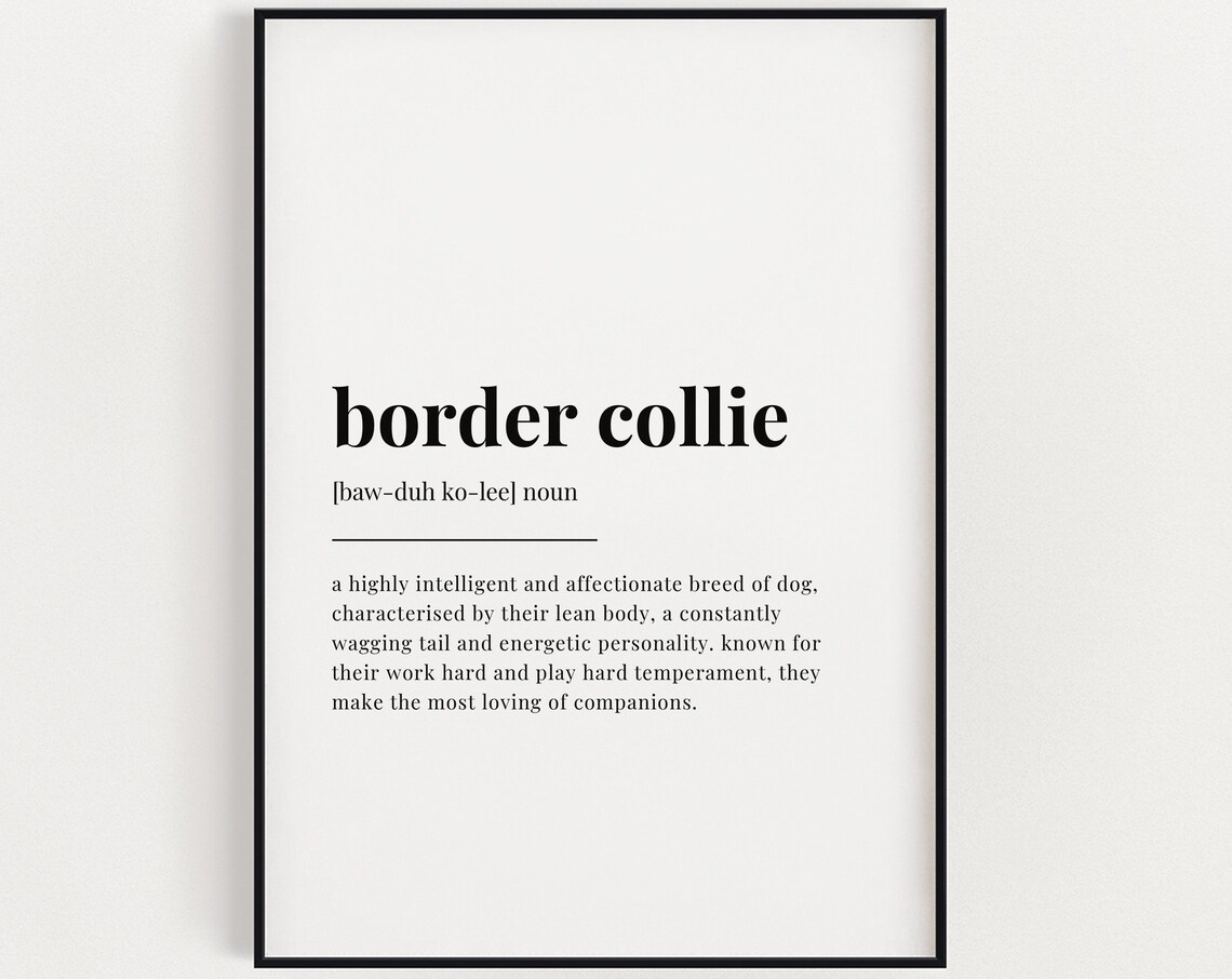Border Collie Definition Meaning Poster Print