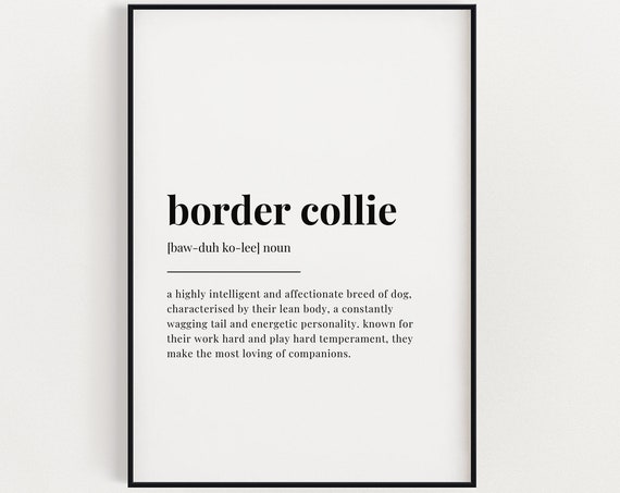 Border Collie Definition Meaning Poster Print