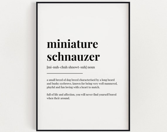 Miniature Schnauzer Definition Meaning Poster