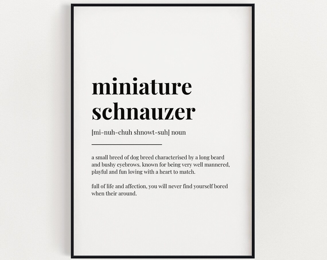 Miniature Schnauzer Definition Meaning Poster