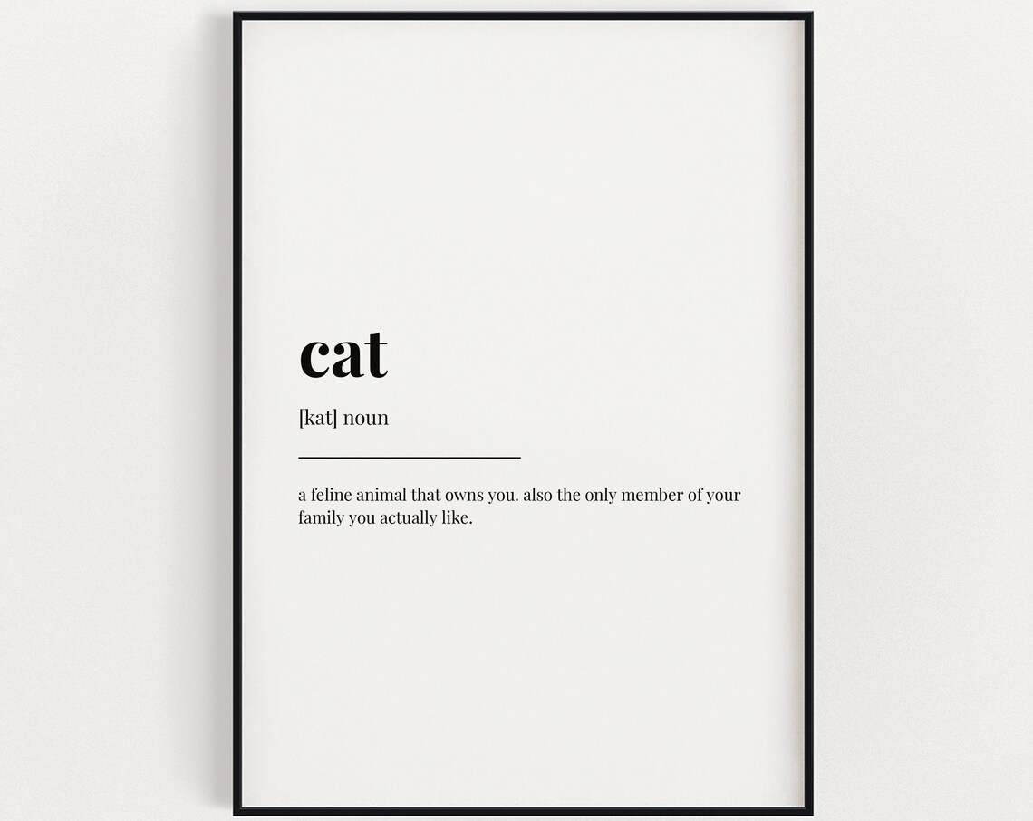 Funny Cat Dictionary Definition Monochrome Typography Poster