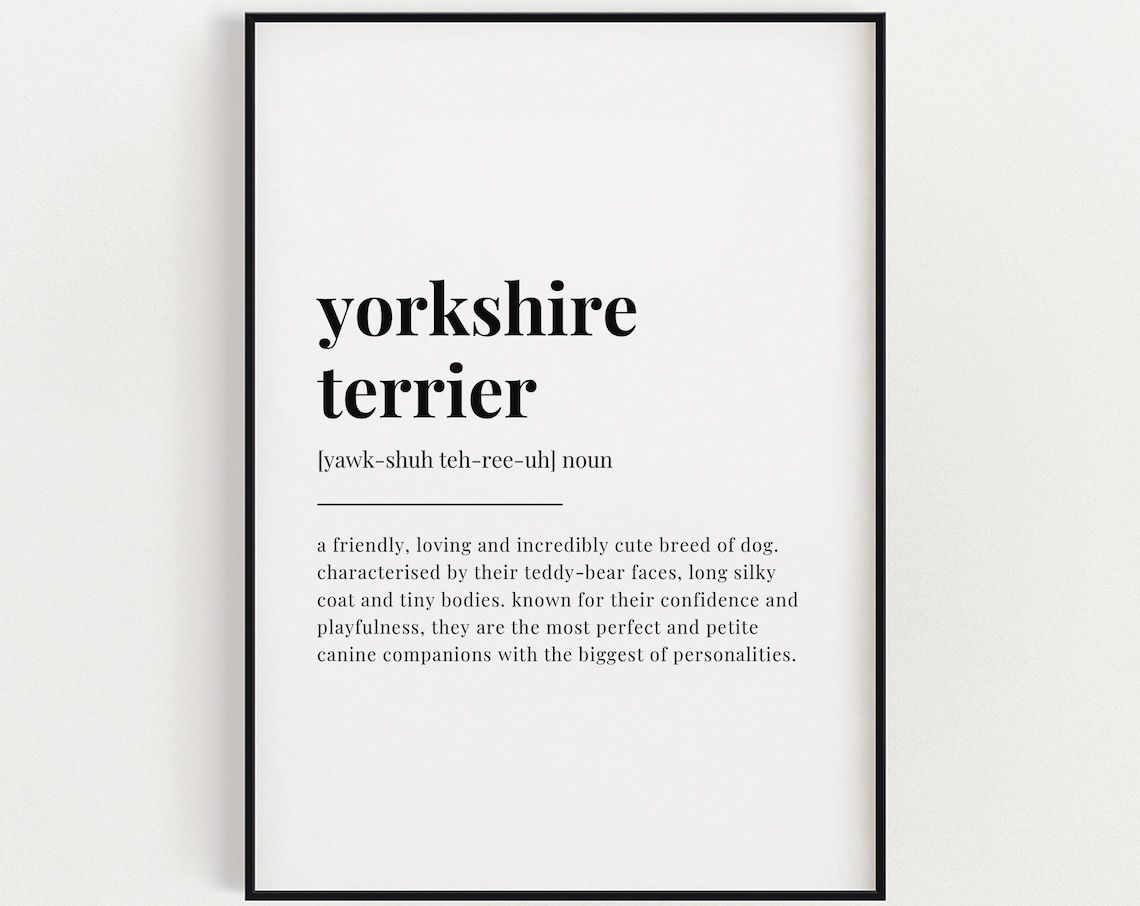 Yorkshire Terrier Definition Meaning - Dog Wall Art
