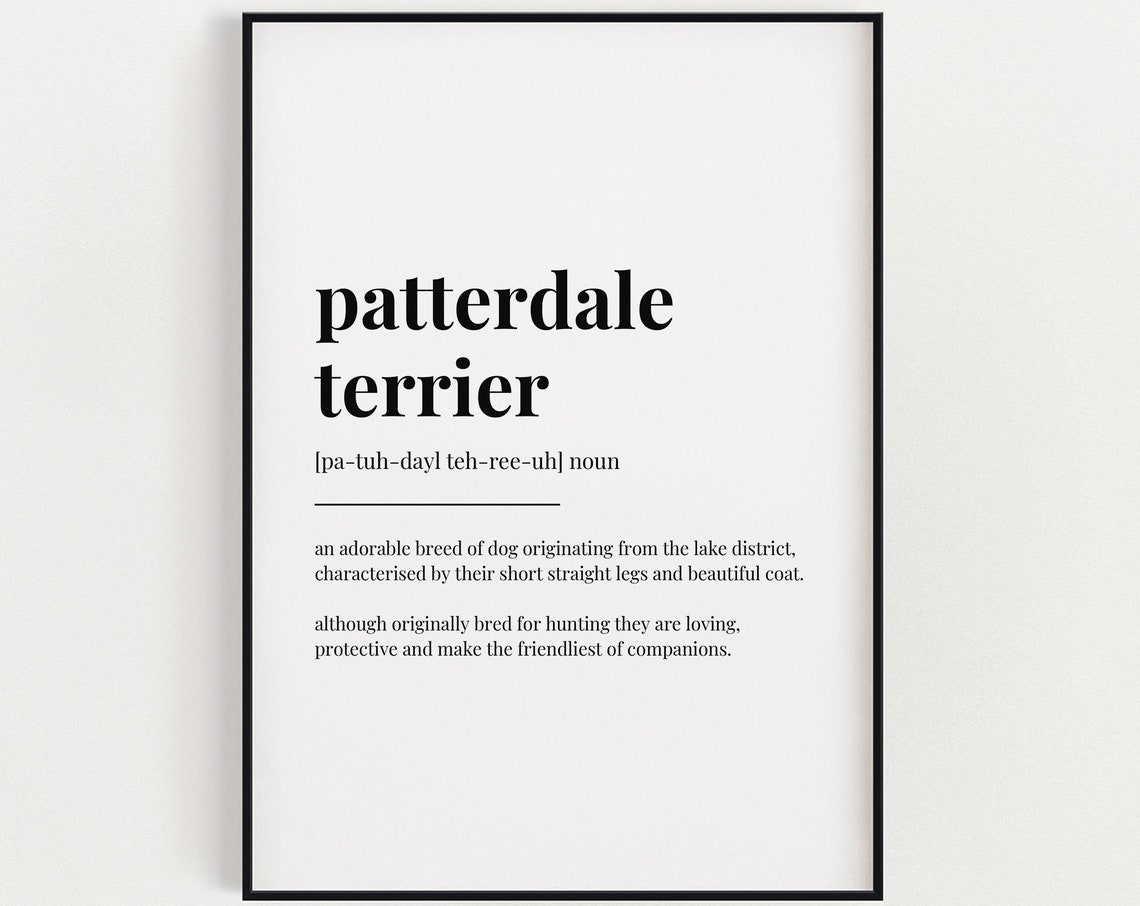 Patterdale Terrier Dictionary Definition Dog Breed Wall Poster