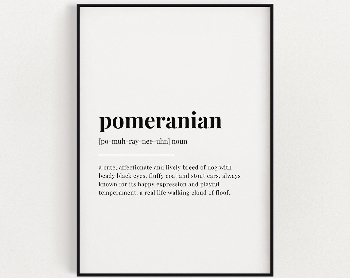 Pomeranian Definition Meaning - Dog Typography