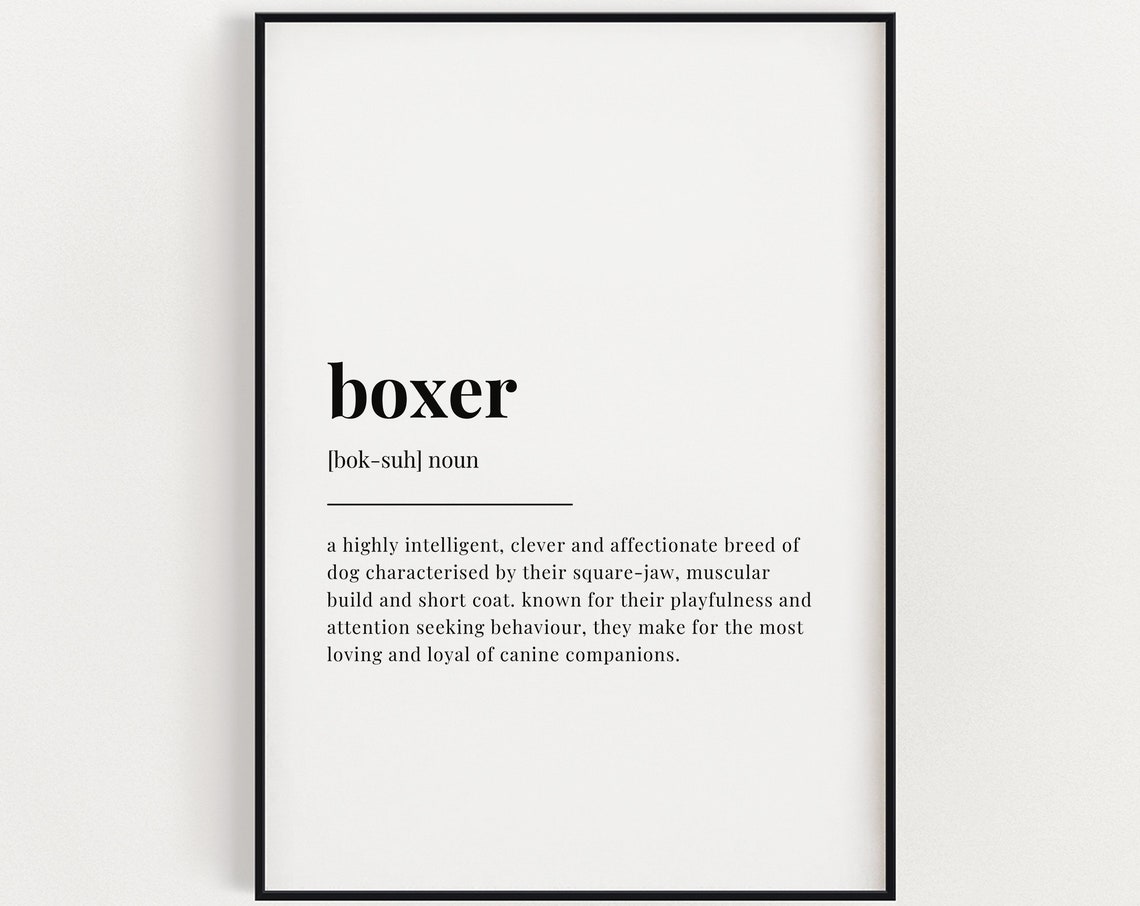 Boxer Definition Meaning Poster Print
