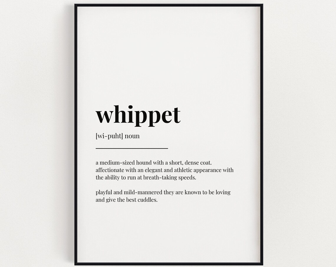 Whippet Definition Meaning, Typography Wall Art