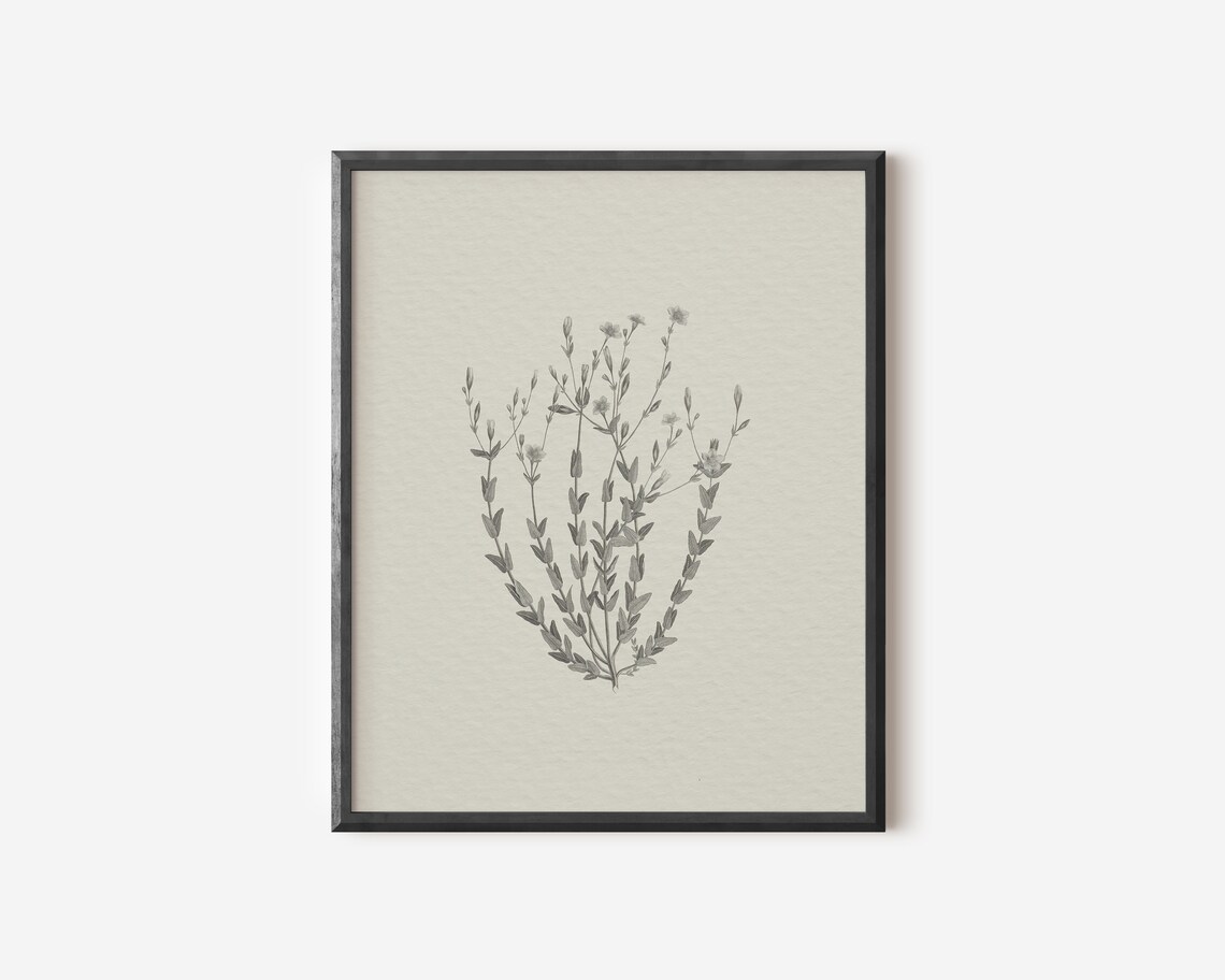 Neutral Botanical Drawing, Vintage Flower Sketch Poster - Image 2