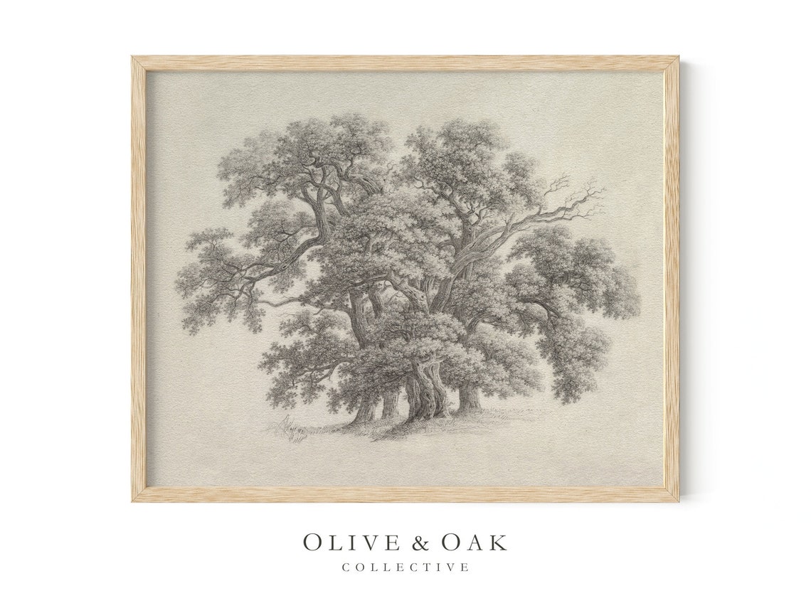 Vintage Oak Tree Sketch, Botanical Art Print - Image 4
