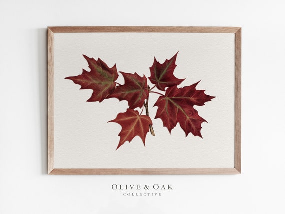 Fall Leaves Art Print, Autumn Wall Art