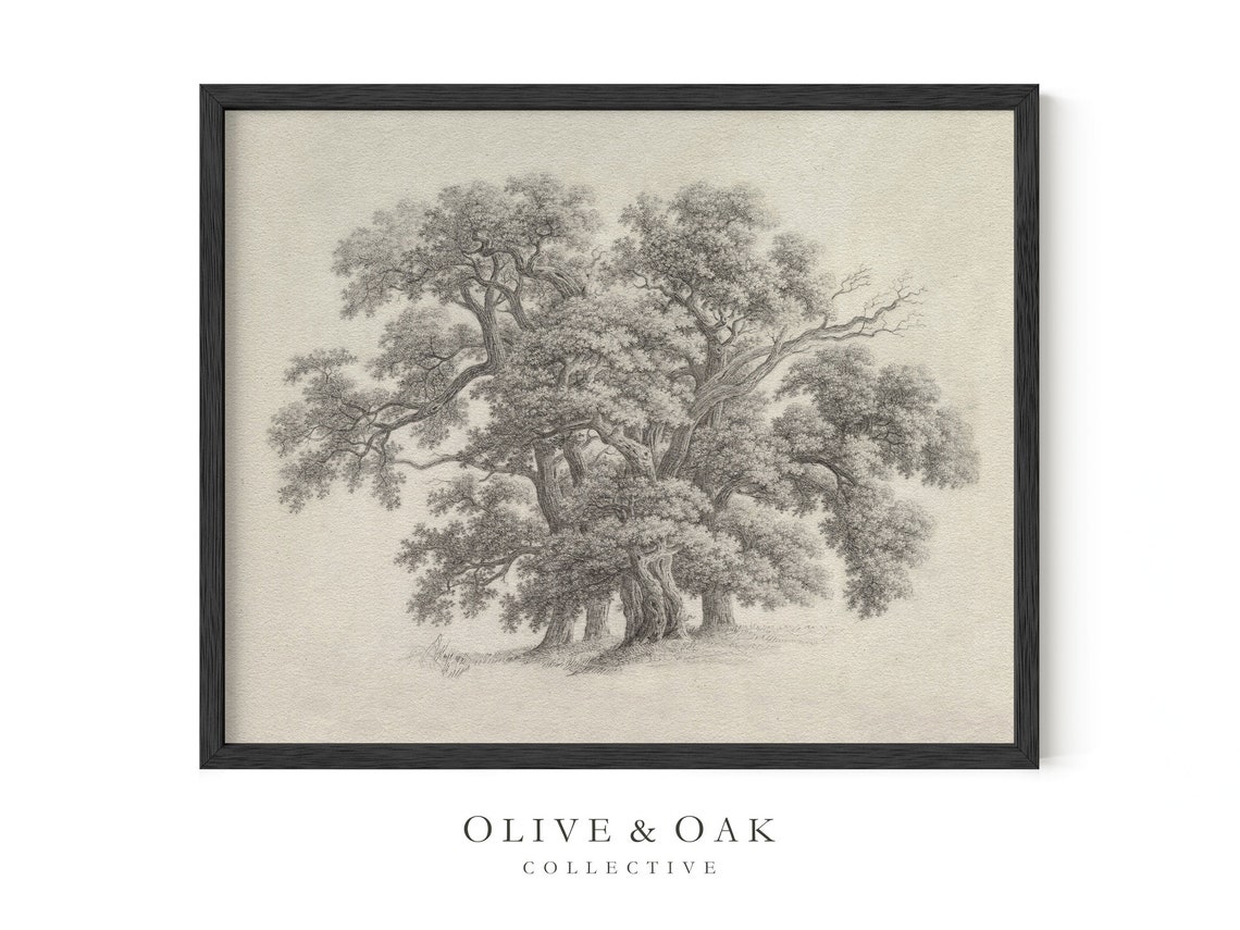 Vintage Oak Tree Sketch, Botanical Art Print - Image 3