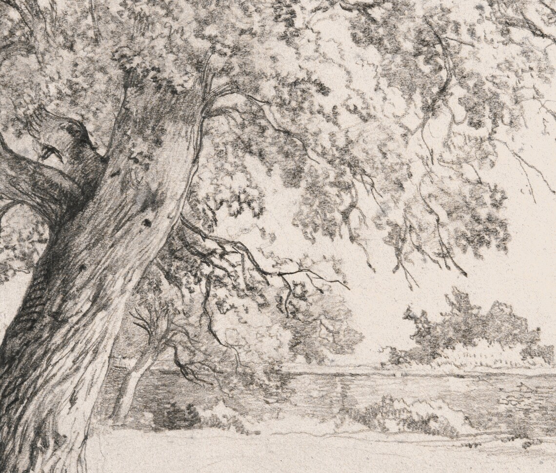Antique Tree Sketch, Farmhouse Landscape Art Print - Image 3