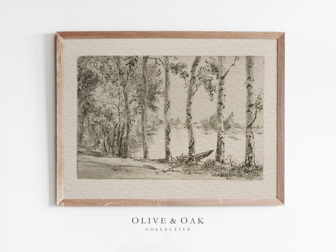 Vintage Birch Tree Sketch, Rustic Botanical Art Print