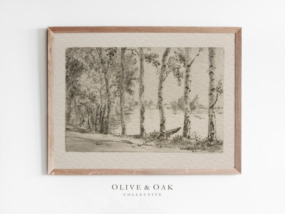 Vintage Birch Tree Sketch, Rustic Botanical Art Print