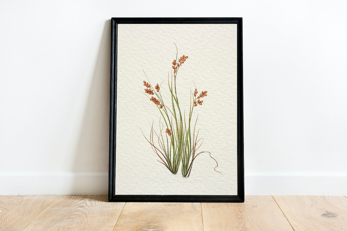 Antique Botanical Flower Print, Vintage Farmhouse Art Print - Image 4