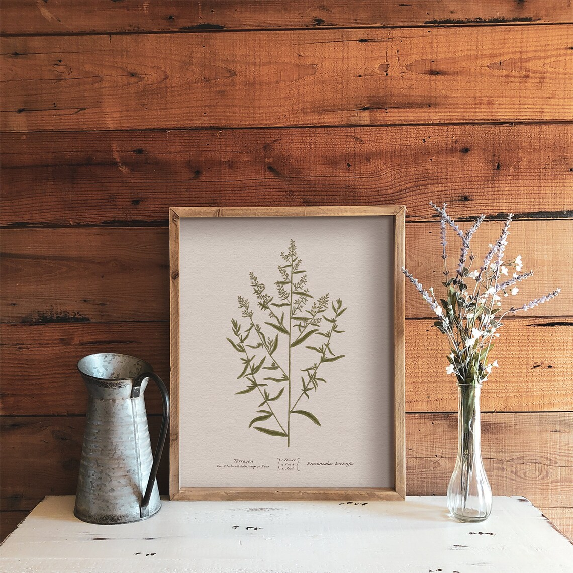 Tarragon Drawing, Botanical Kitchen Art Print - Image 4
