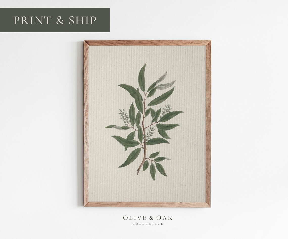 Vintage Botanical Tree Branch Art Print, Farmhouse Decor