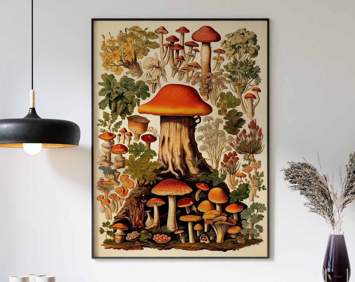 Food Print Mushrooms Print Kitchen Decor Vintage Kitchen Art Mushrooms Poster Food Decor Mushrooms Art Mushrooms Wall Art Food Art