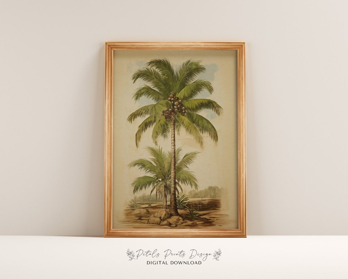 Vintage Coconut Palm Tree Botanical Illustration Tropical Plant Poster