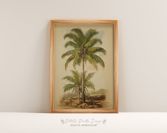 Vintage Coconut Palm Tree Botanical Illustration Tropical Plant Poster