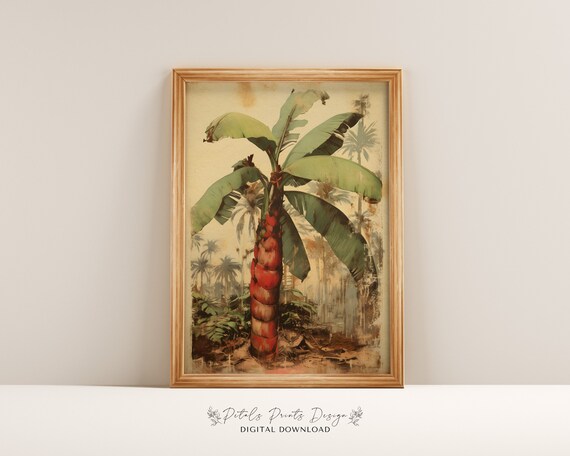 Vintage Banana Plant Red Trunk Tropical Jungle Botanical Art Poster
