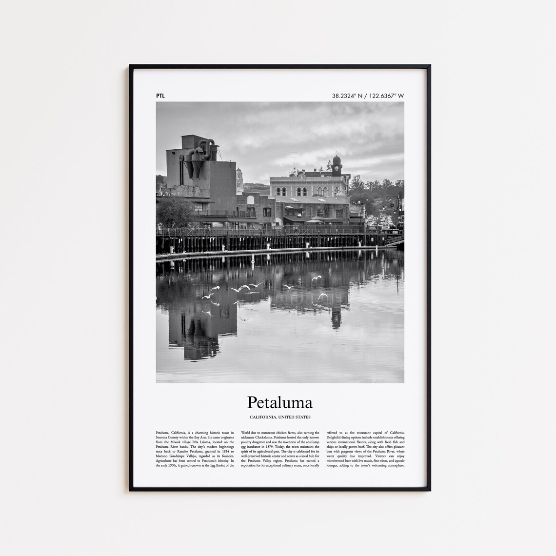 Petaluma California Black And White Waterfront Photo Travel Poster