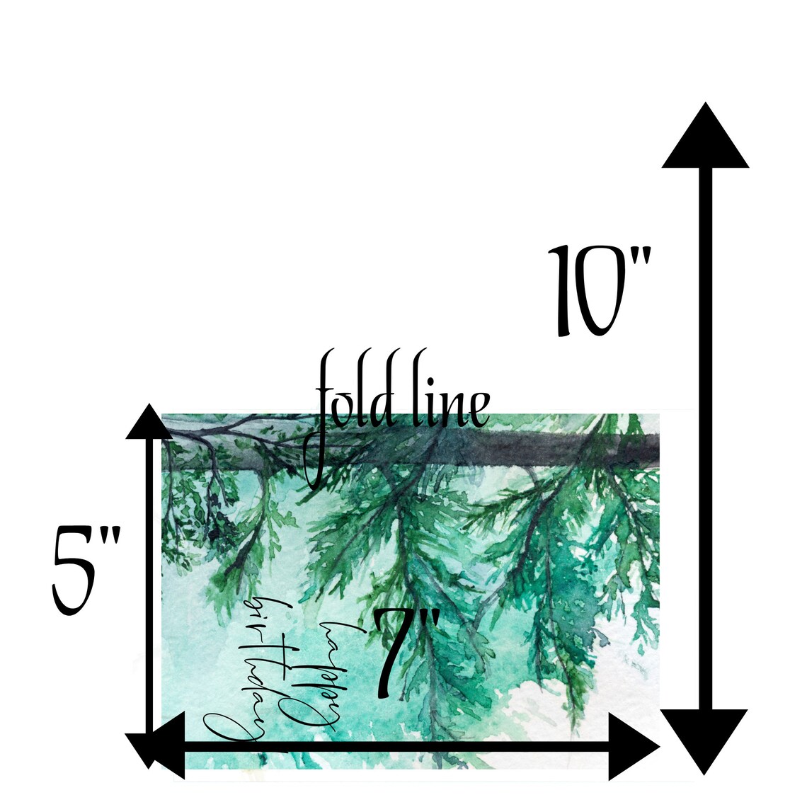 Happy Birthday Evergreen Watercolor Greeting Art Print - Image 2