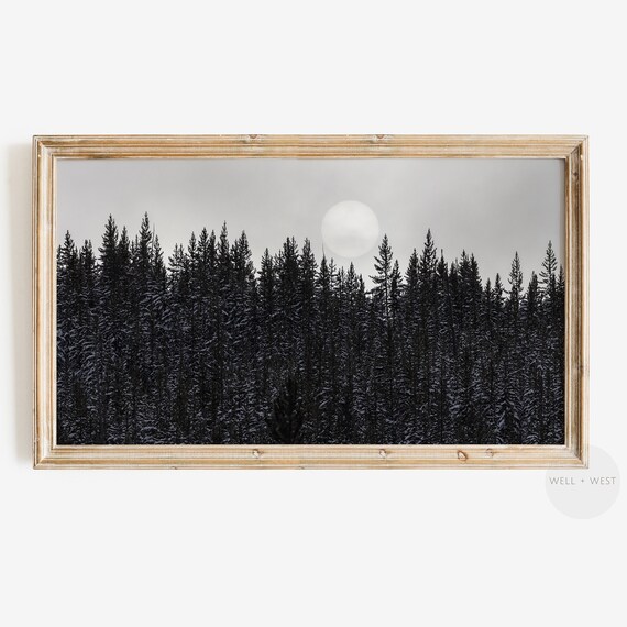 Winter Forest Full Moon Black and White Nature Photography Framed Wall Poster