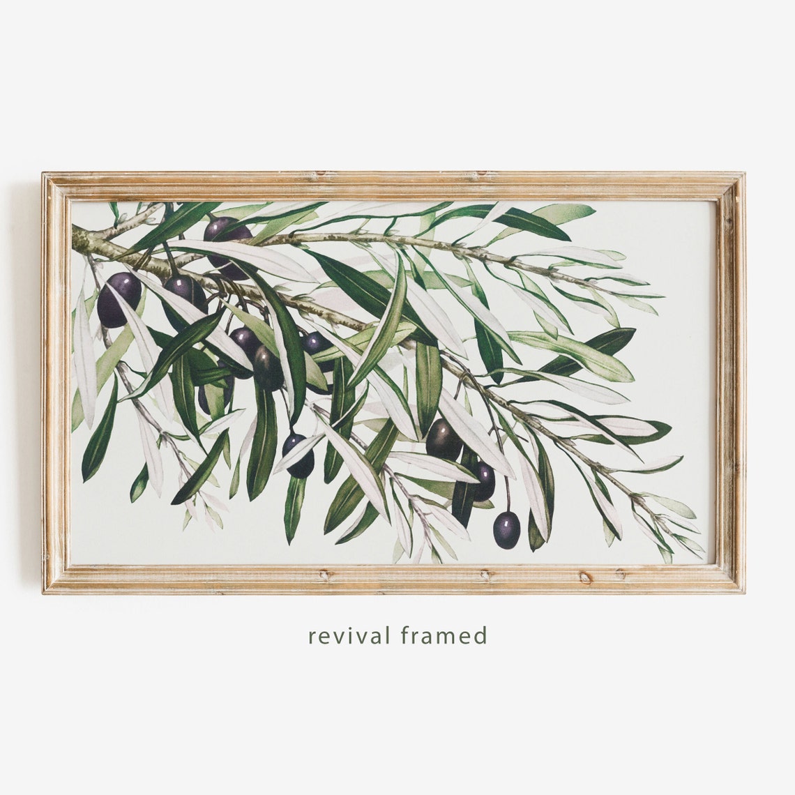 Olive Branch Watercolor with Black Olives Botanical Kitchen Poster