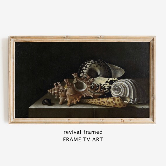 Dark Still Life Oil Painting of Seashells on a Ledge with Black Background Poster