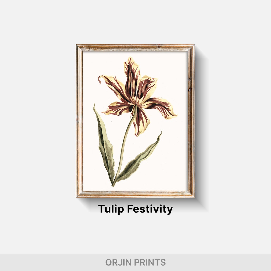 Vintage Tulip Botanical Illustration Single Bloom Floral Poster - Image 2