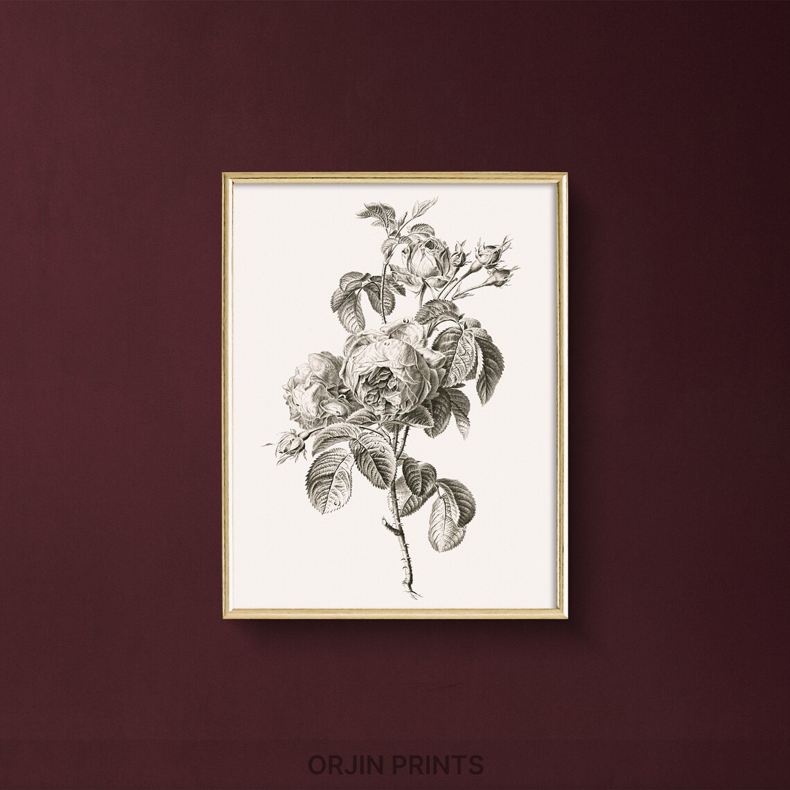 Cluster of Roses Botanical Engraving Vintage Floral Art Poster