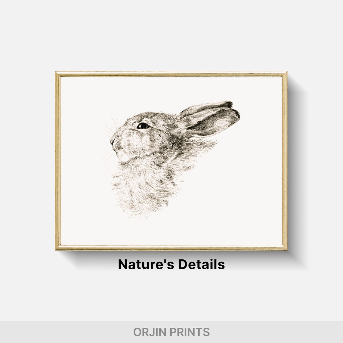 Wild Hare Side Profile Monochrome Pencil Sketch Animal Wall Art - Image 2