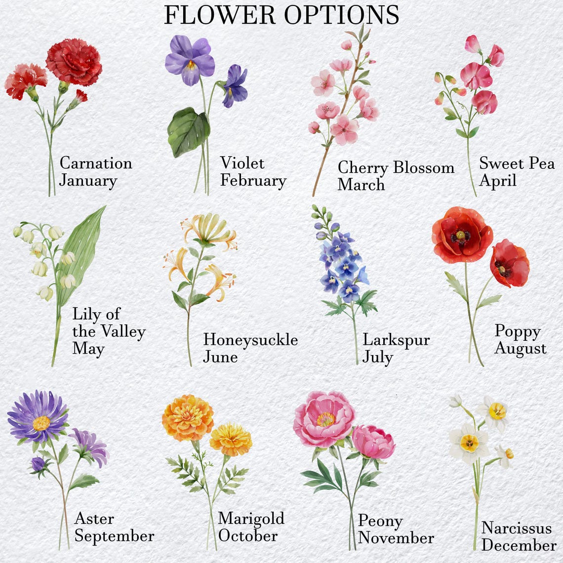 Red Poppy Watercolor Birth Flower Personalized Name Date Poster - Image 3