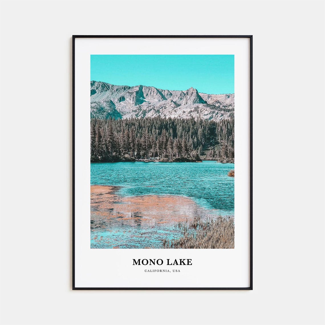 Mono Lake California Turquoise Water Sierra Peaks Pine View Poster