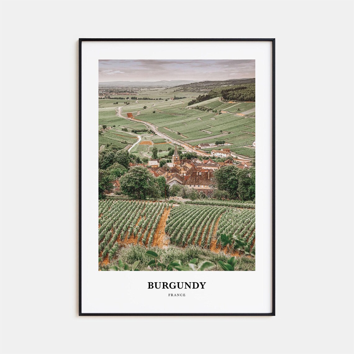 Burgundy France Vineyard Hills Village Wine Country Photo Poster