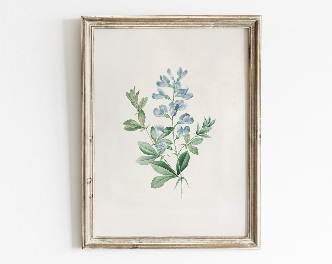 Vintage Sweet Pea Botanical Art Print, Cottage Core