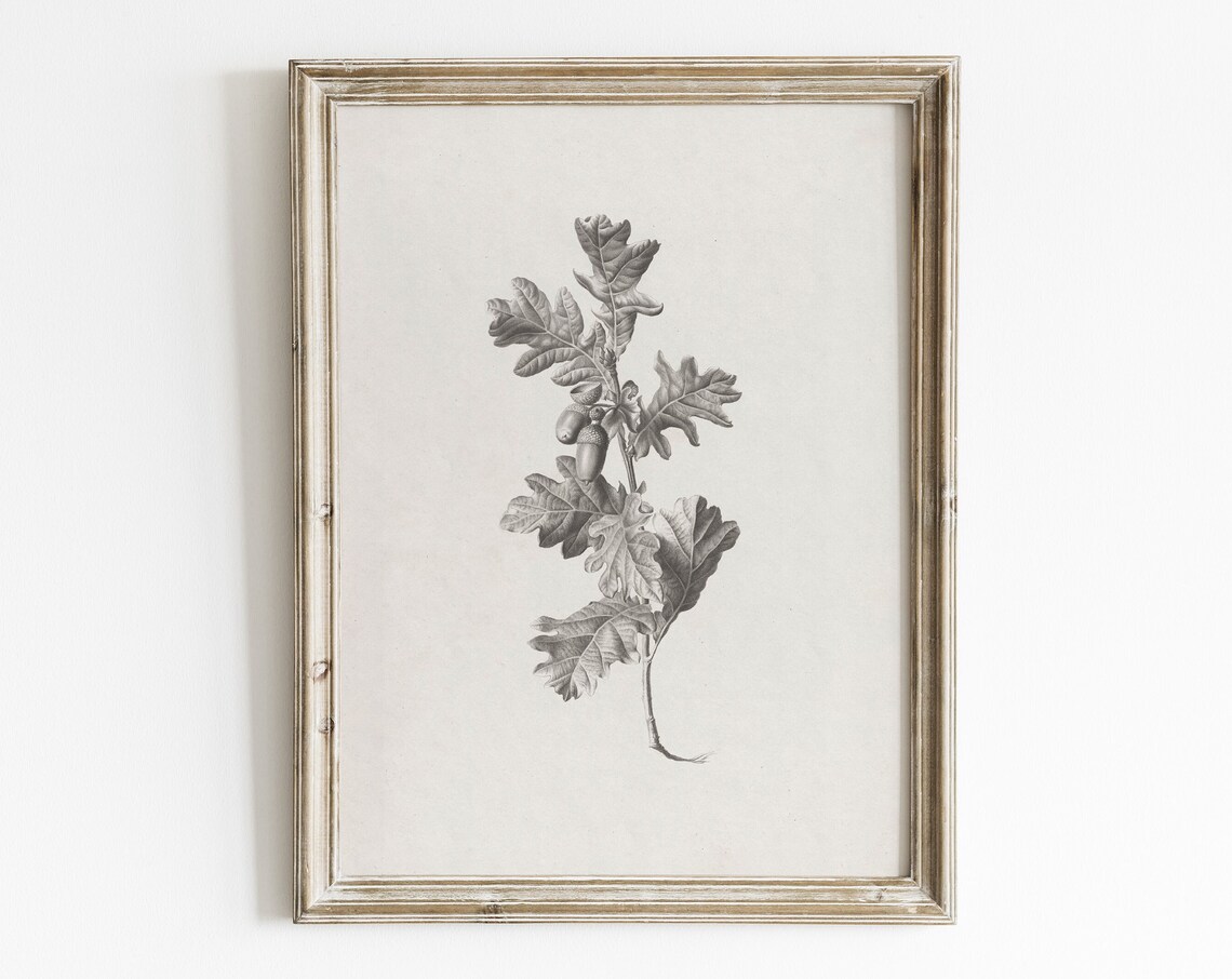 Vintage Oak Leaf Print, Antique Botanical Art Print