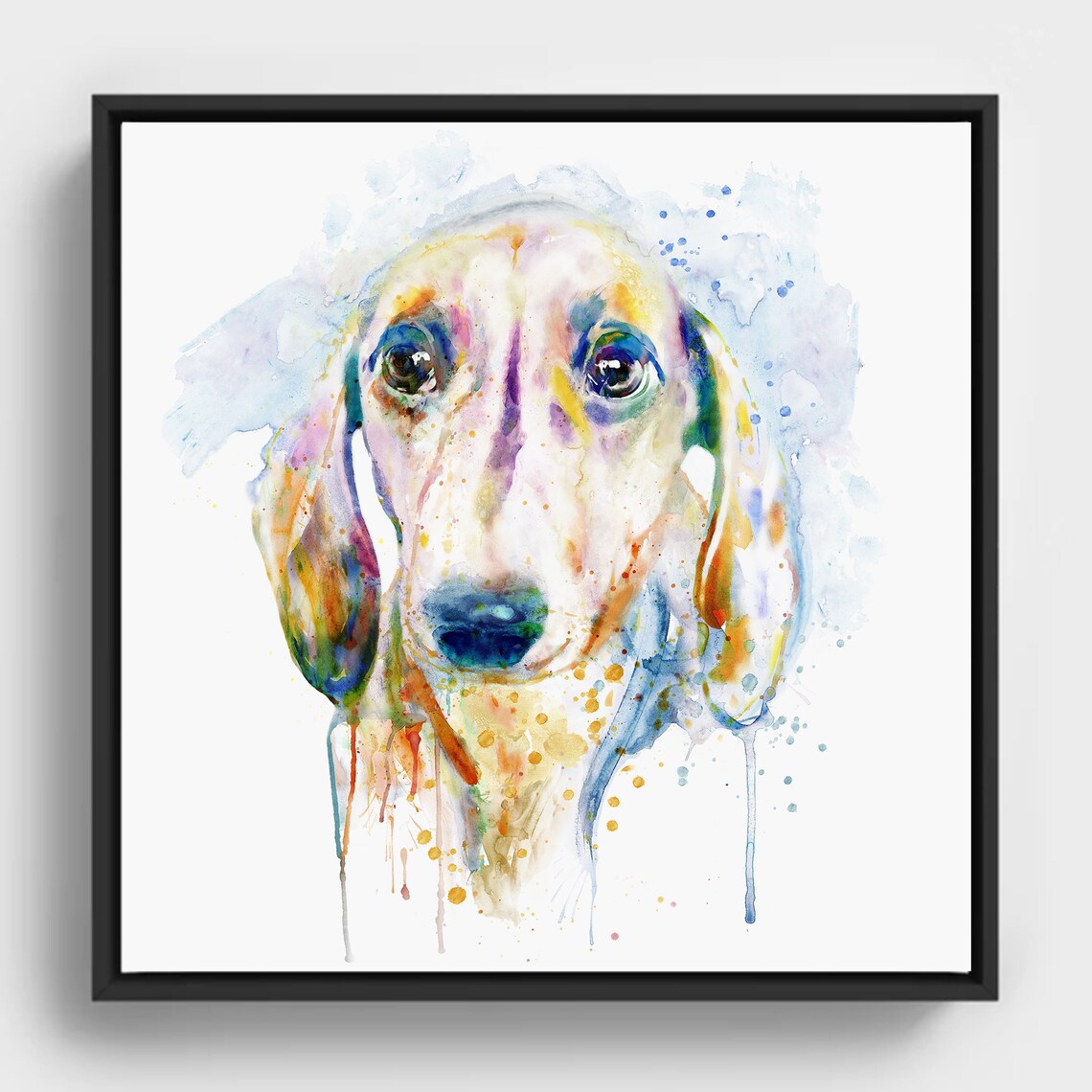 Dachshund Portrait Watercolor Splash Colorful Modern Dog Poster