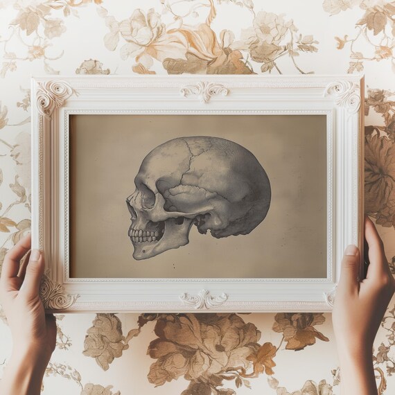 Human Skull Profile Antique Anatomical Study Sketch Dark Wall Art