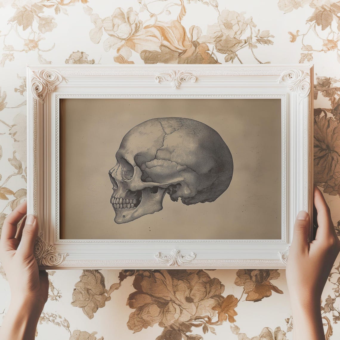Human Skull Profile Antique Anatomical Study Sketch Dark Wall Art