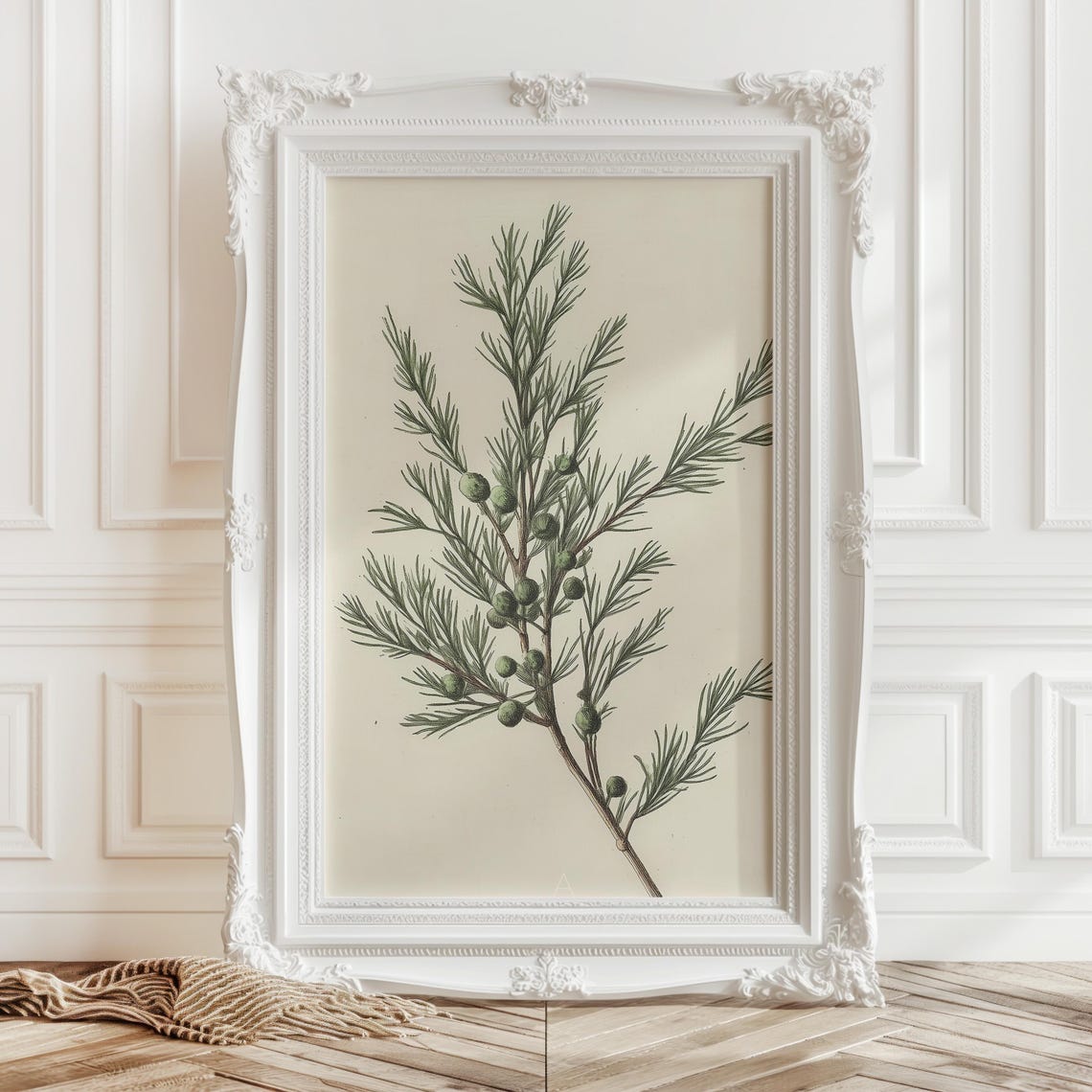 Juniper Branch Winter Botanical Green Berry Sprig Art Poster