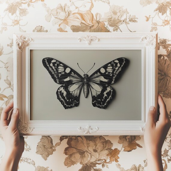 Black And White Butterfly Monochrome Botanical Study Wall Art