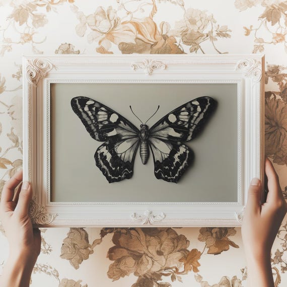Vintage Black Butterfly Sketch Print Moody Dark Academia Wall Art Gothic Moth Insect Painting Home Decor