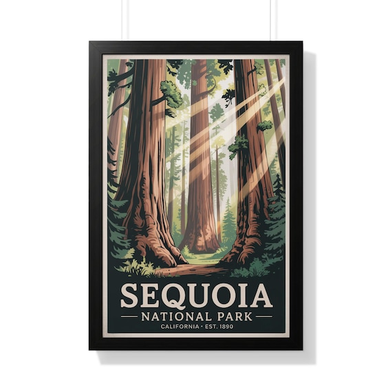 Sequoia National Park Sunbeams Through Giant Redwood Trees Poster