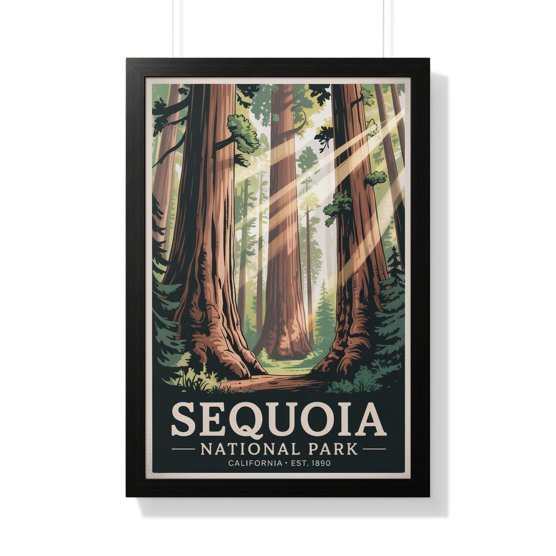Sequoia National Park Sunbeams Through Giant Redwood Trees Poster