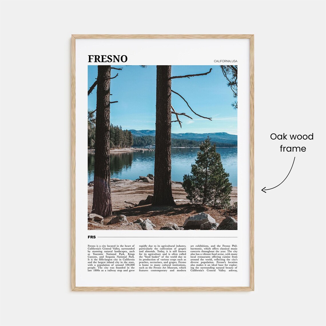 Fresno Travel Poster, California USA Art Print - Image 3