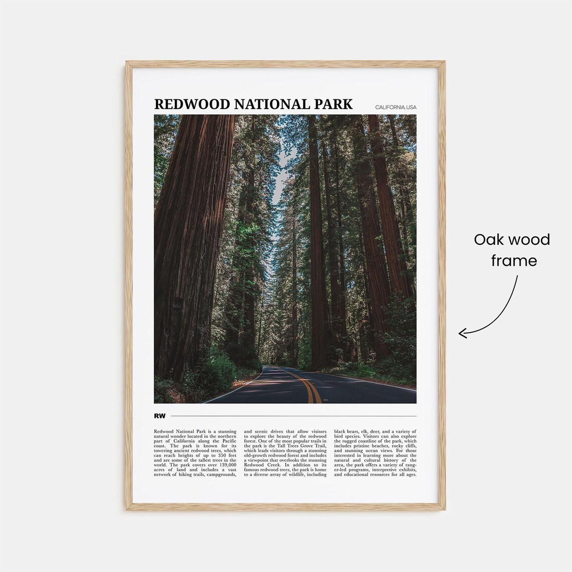 Redwood National Park Travel Poster, Park Wall Art - Image 3