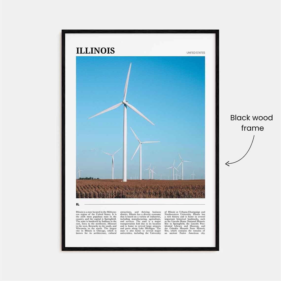 Illinois Travel Poster, USA Wall Art Print - Image 2