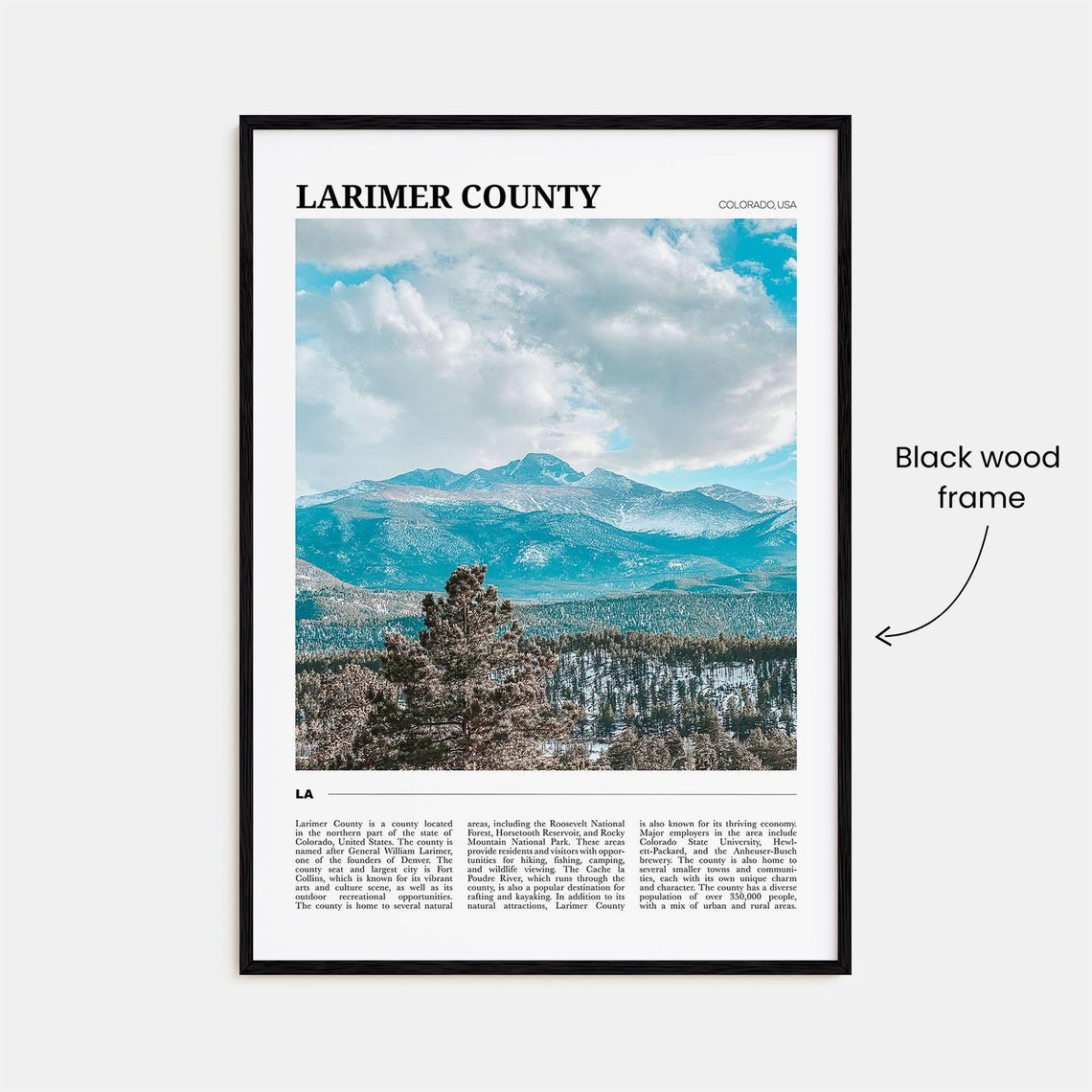 Larimer County Colorado Rocky Mountain Panorama Travel Poster - Image 2