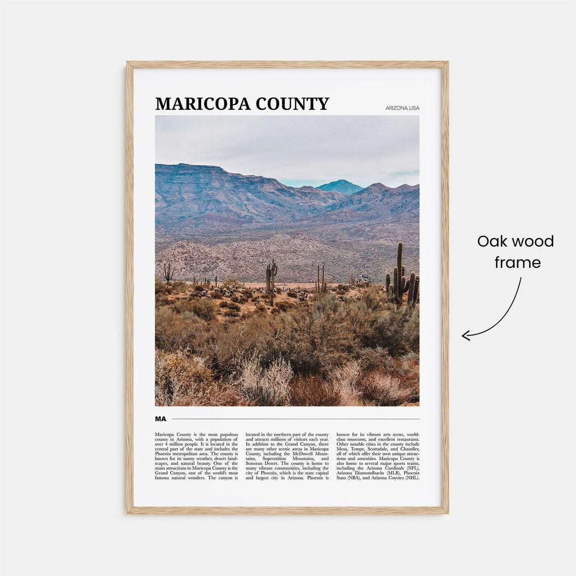 Maricopa County Arizona Saguaro Desert Mountain Travel Poster - Image 3